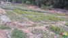 pã©piniã¨re de pã©ttã© 8